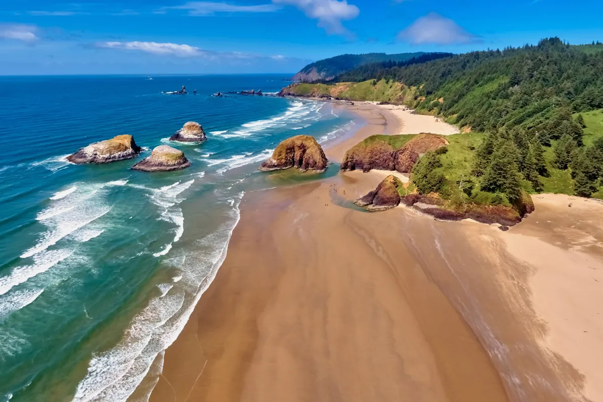 A sweeping view of a sandy beach bordered by unique rock formations, lush forest, and the sparkling blue ocean. The lively waves and unspoiled natural surroundings evoke a sense of adventure, discovery, and the timeless allure of the Oregon coast.